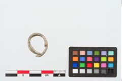 Foto von Bleiring (NHMW-PRAE-025053a)